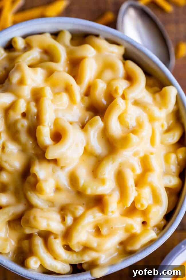 Creamy Homemade Velveeta Mac and Cheese 5 A cozy bowl of creamy mac and cheese, perfectly portioned, with a spoon resting invitingly on the side, ready to be enjoyed.