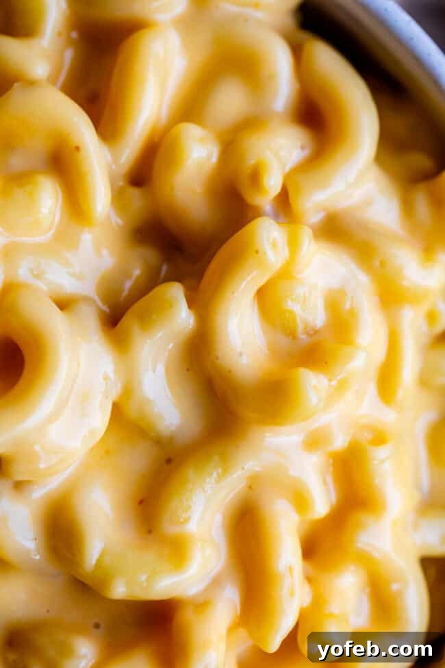 Creamy Homemade Velveeta Mac and Cheese 6 A vibrant, close-up photograph highlighting the incredibly creamy and smooth texture of the mac and cheese, with individual macaroni noodles glistening in the rich sauce.