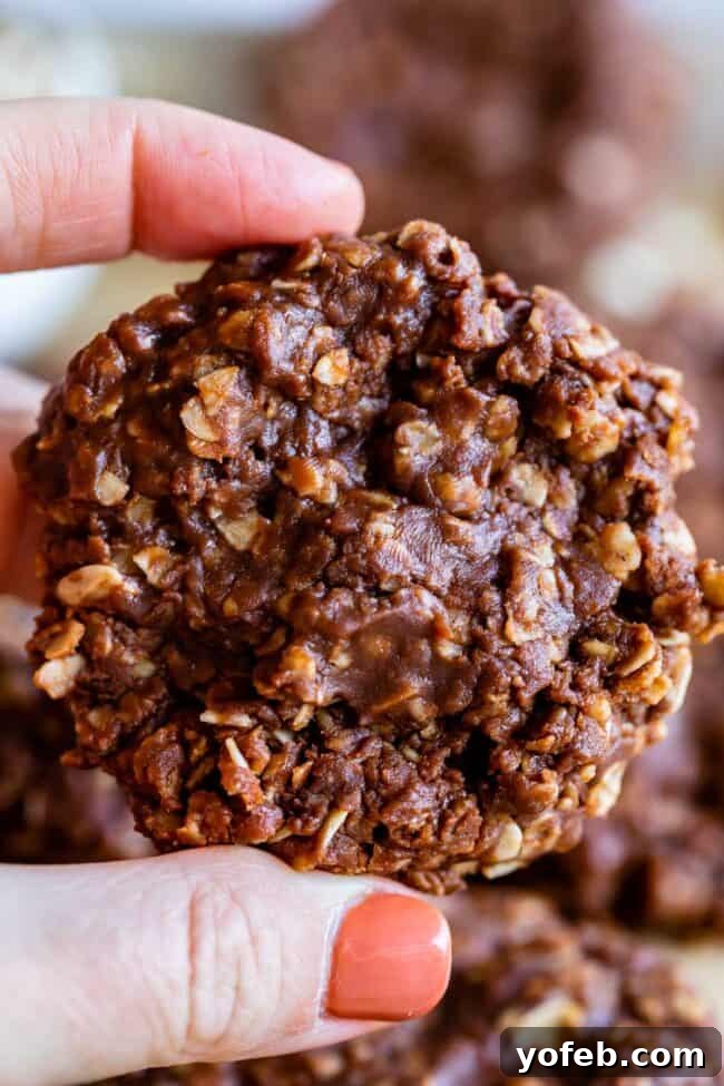 Easy No-Bake Peanut Butter Oatmeal Cookies 2 no bake chocolate peanut butter oatmeal cookies held up in hand