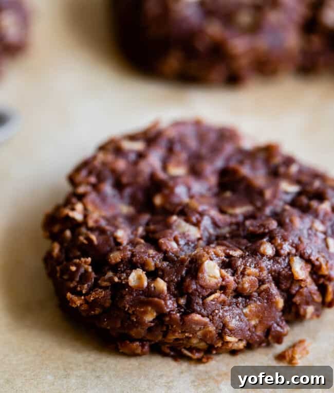 Easy No-Bake Peanut Butter Oatmeal Cookies 9 close up of no bake oatmeal cookies