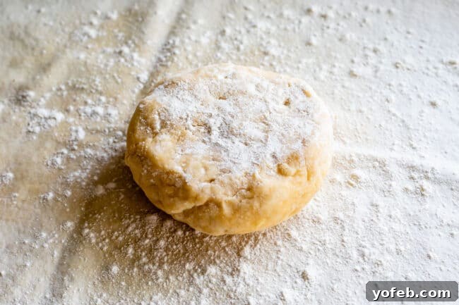 A disc of chilled pie dough, generously sprinkled with flour, rests on a work surface, poised for rolling out.