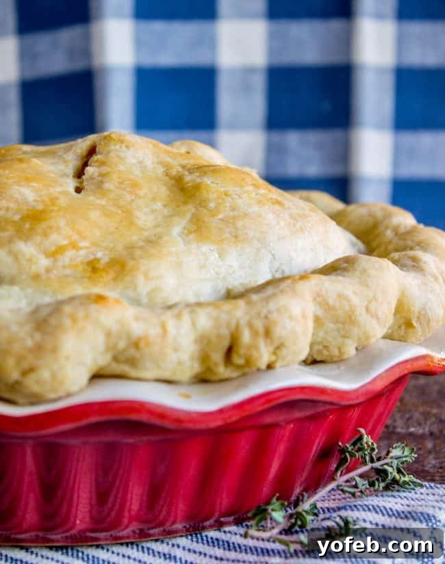 A beautiful side shot of a perfectly baked and browned pie crust, showcasing its golden color and flaky texture.