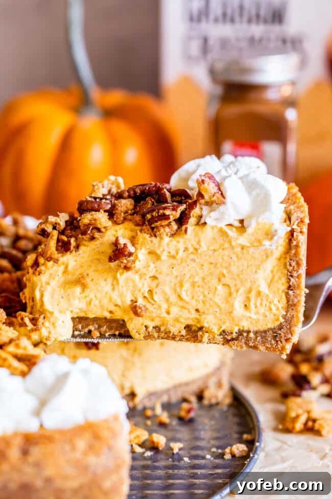 A perfectly portioned slice of no-bake pumpkin cheesecake, topped with a cloud of whipped cream and a sprinkle of pecan graham crumble, being lifted from the springform pan, showcasing its creamy texture.