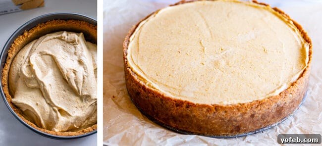 Smoothly spreading the pumpkin cheesecake filling into a prepared crust, and a view of the chilled, set cheesecake in a springform pan.