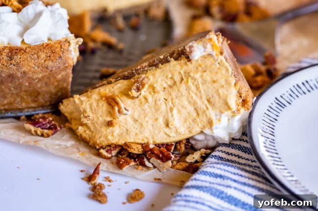 An accidentally dropped slice of no-bake cheesecake on a table, illustrating a common kitchen mishap.