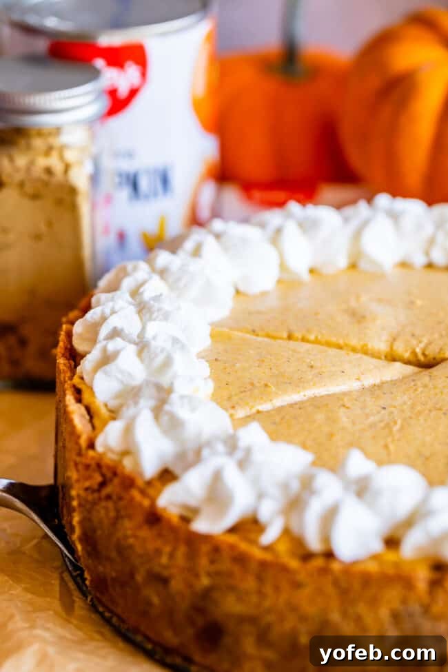 A decadent no-bake pumpkin cheesecake, lavishly topped with swirls of whipped cream, captures the essence of autumn desserts.