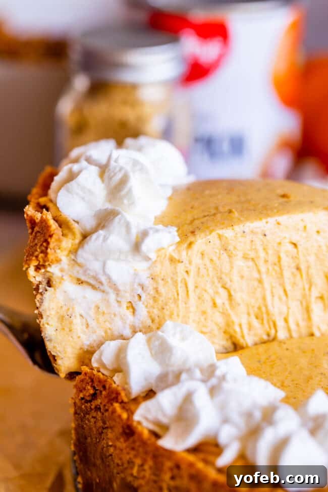 A server gently lifts a perfect slice of no-bake pumpkin cheesecake from the pan, revealing its crisp crust and creamy filling.