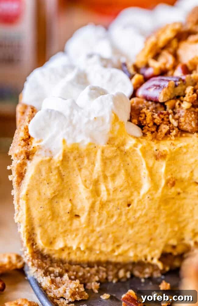 A beautifully set no-bake pumpkin cheesecake, adorned with fresh whipped cream and a sprinkle of crunchy pecan graham crumble, photographed from a side angle.