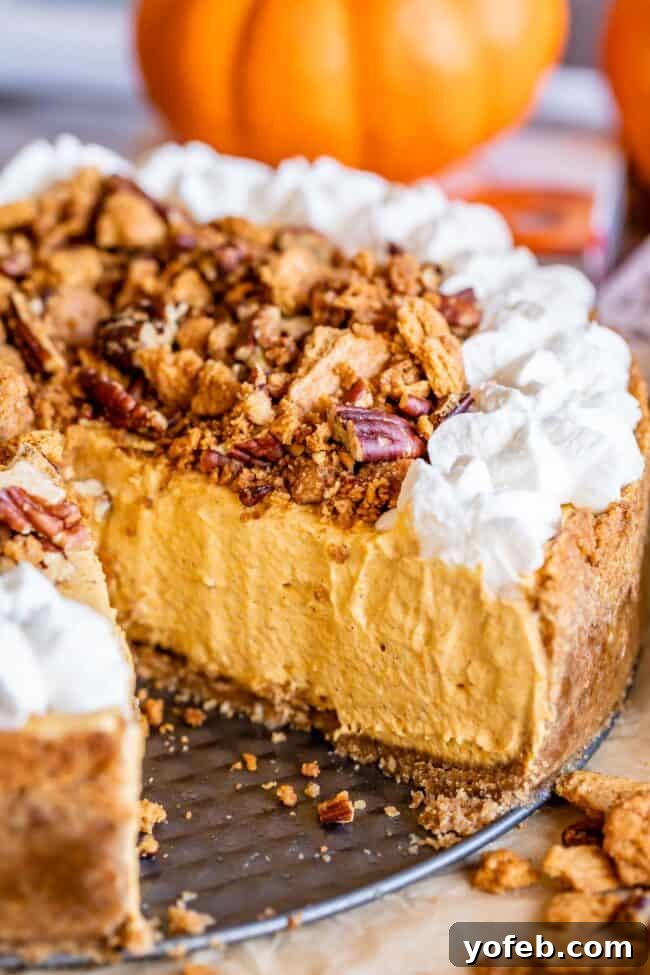 A festive no-bake pumpkin cheesecake generously topped with crushed pecans, graham cracker crumbs, and whipped cream, ready for serving.