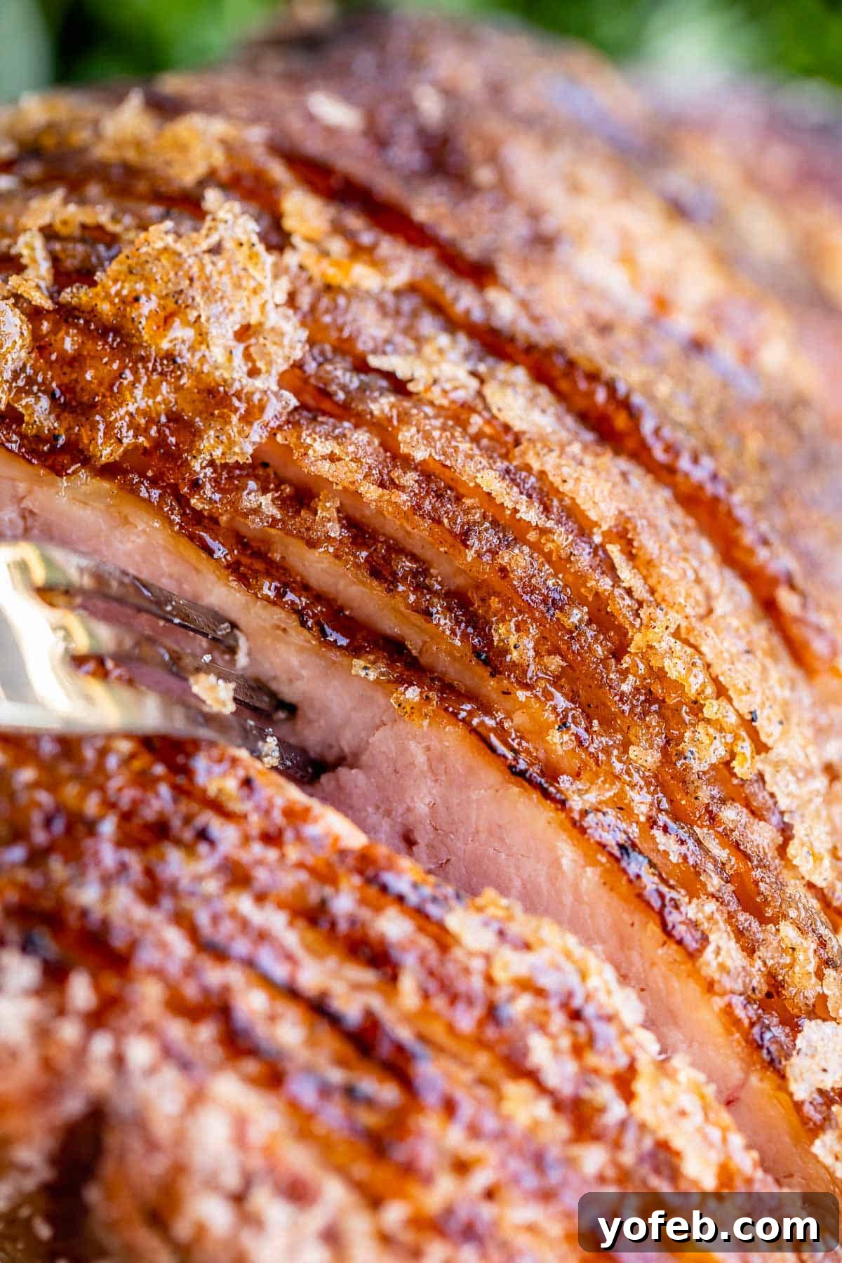 honey baked ham glazed recipes