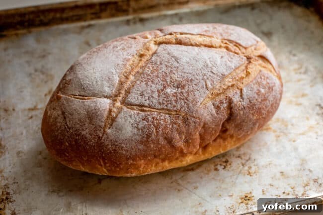The Ultimate Thanksgiving Stuffing 7 a loaf of bread on a sheet pan