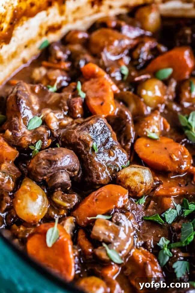 Classic French Beef Bourguignon 2 A vibrant teal pot filled with hearty Beef Bourguignon, showcasing tender beef chunks, earthy mushrooms, bright carrots, and delicate pearl onions, ready to be served.