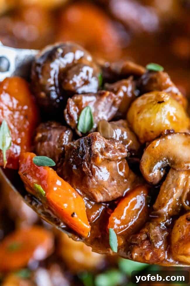 Classic French Beef Bourguignon 3 A close-up shot of a spoon brimming with delicious Beef Bourguignon, showcasing rich beef, bright carrots, savory mushrooms, and delicate pearl onions, garnished with fresh parsley.