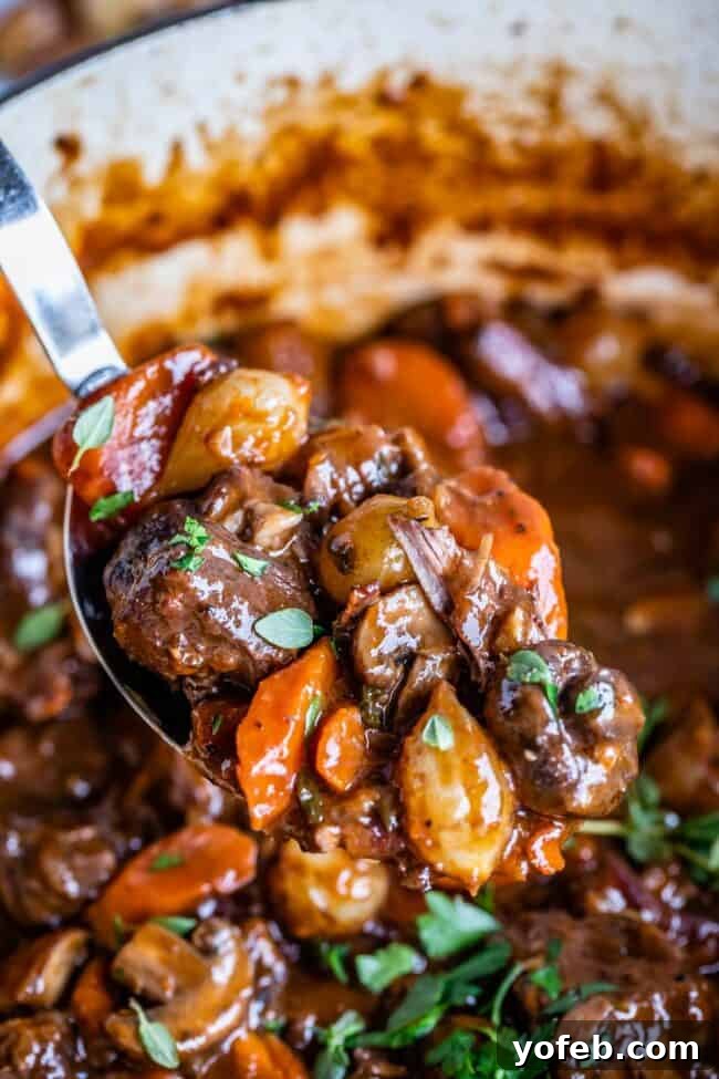 Classic French Beef Bourguignon 4 A generous spoonful of Beef Bourguignon, showcasing glistening pieces of beef and vegetables, being lifted from a rustic pot, highlighting its rich texture and inviting aroma.