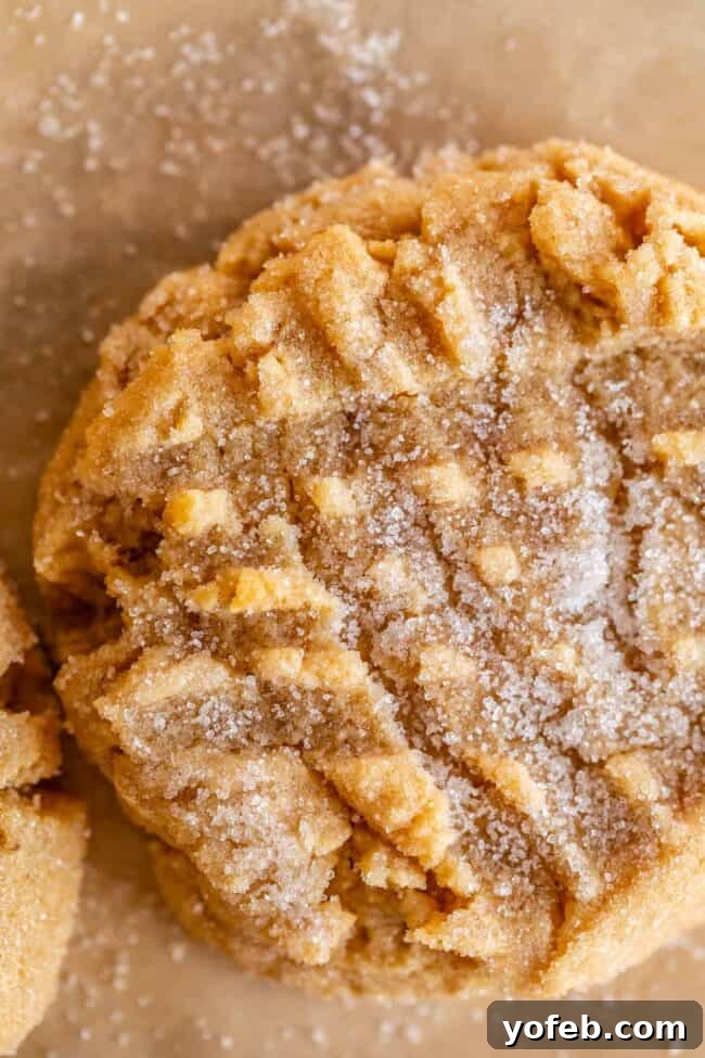 Melt-in-Your-Mouth Peanut Butter Cookies 2 Overhead shot of freshly baked, soft peanut butter cookies with the classic fork smash design, ready to be enjoyed.