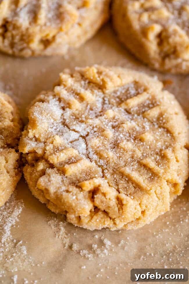 Melt-in-Your-Mouth Peanut Butter Cookies 13 Close-up of a soft peanut butter cookie with the classic criss-cross fork imprint, lightly sprinkled with sugar.