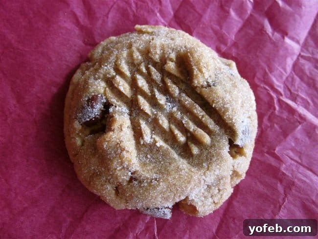 IMG_1261 A classic peanut butter cookie with chocolate chips and the signature fork hash marks, presented on festive red tissue paper.