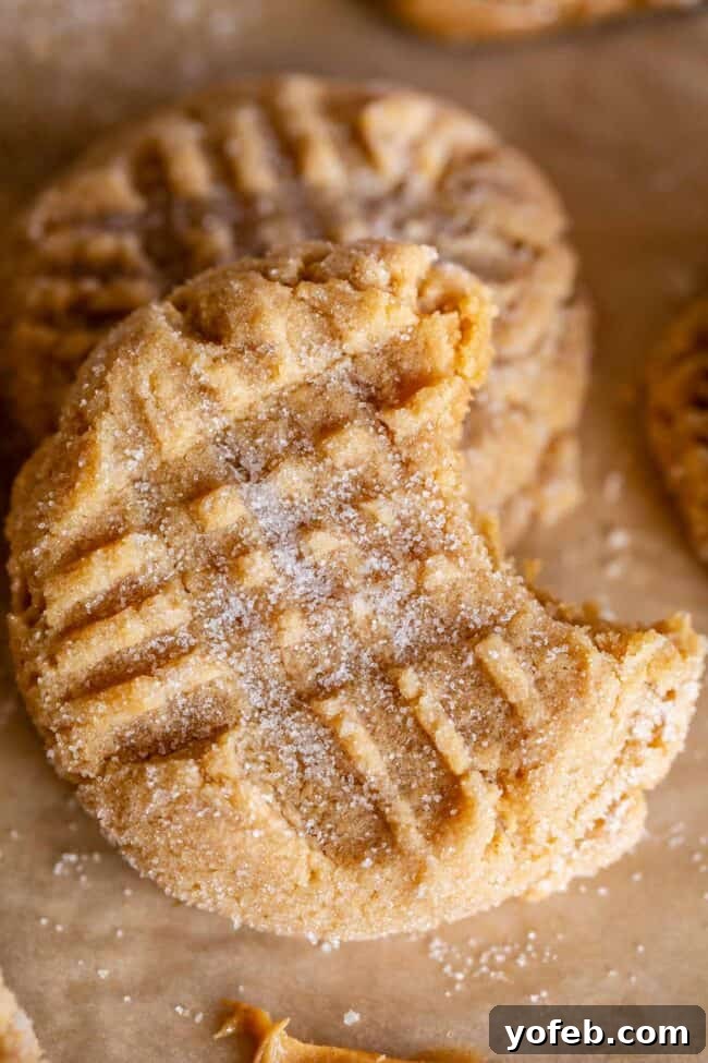 Melt-in-Your-Mouth Peanut Butter Cookies 4 A perfectly chewy peanut butter cookie tilted on its side, revealing its soft interior after a bite has been taken.