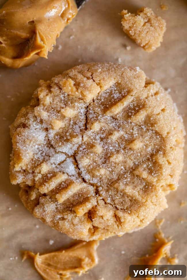 Melt-in-Your-Mouth Peanut Butter Cookies 6 Close-up of the best peanut butter cookie recipe, showcasing its perfect crackled surface and rich texture.