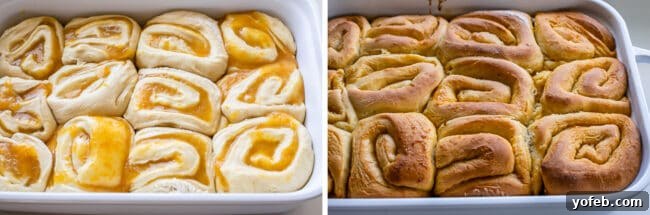 Meyer Lemon Sunshine Rolls 14 lemon rolls unbaked in a white dish, then baked