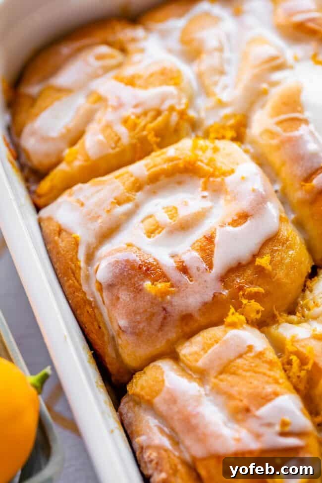 Meyer Lemon Sunshine Rolls 3 meyer lemon rolls with lemon glaze