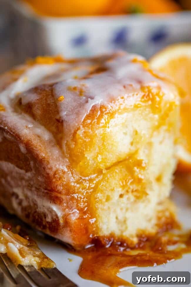 Meyer Lemon Sunshine Rolls 4 meyer lemon sweet roll on a plate with filling and glaze