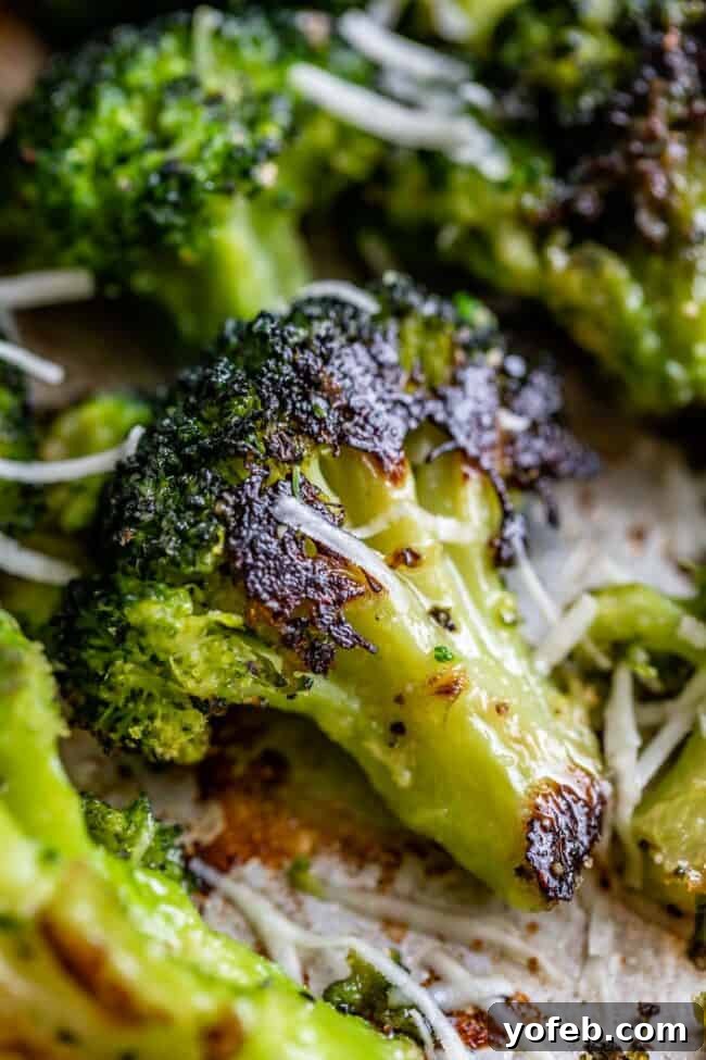 A sheet pan filled with golden-brown, perfectly oven-roasted broccoli florets, lightly sprinkled with Parmesan cheese. The broccoli is crisp on the edges and tender within, showcasing a healthy and irresistible side dish.