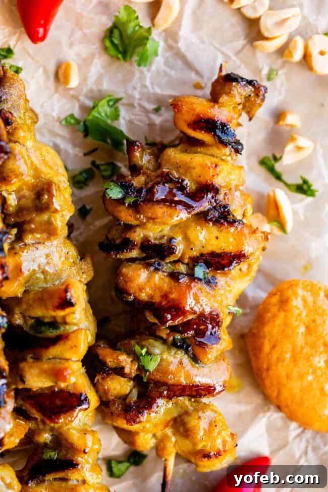 Authentic Thai Chicken Satay with Creamy Peanut Sauce 2 Grilled Thai Chicken Satay on skewers with a side of rich peanut sauce, ready to be served.