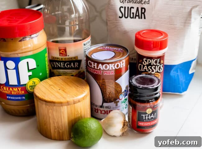 Effortless Homemade Peanut Sauce 9 A flat lay arrangement showcasing all the essential ingredients for easy Thai peanut sauce: peanut butter, vinegar, salt, coconut milk, lime, garlic, red curry paste, and sugar, neatly organized on a clean white counter.