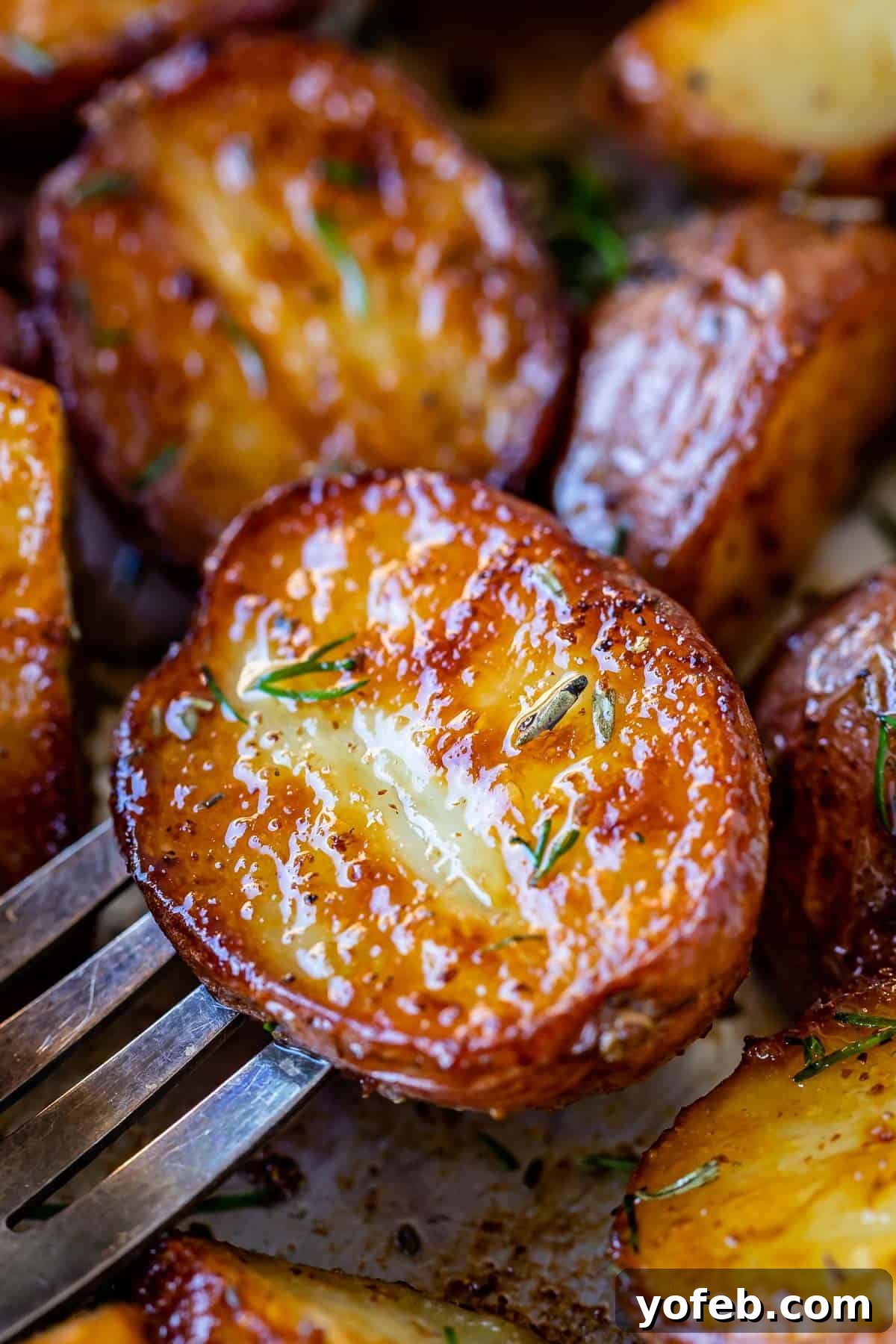 Roasted Red Skin Potatoes on a fork with herbs
