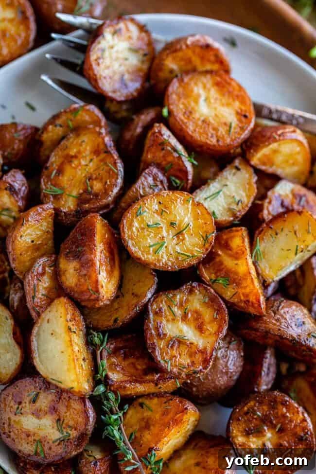 Crispy Oven-Roasted Red Potatoes 5 single roasted red potato with fresh thyme on a white plate with a fork, emphasizing its ready-to-eat appeal