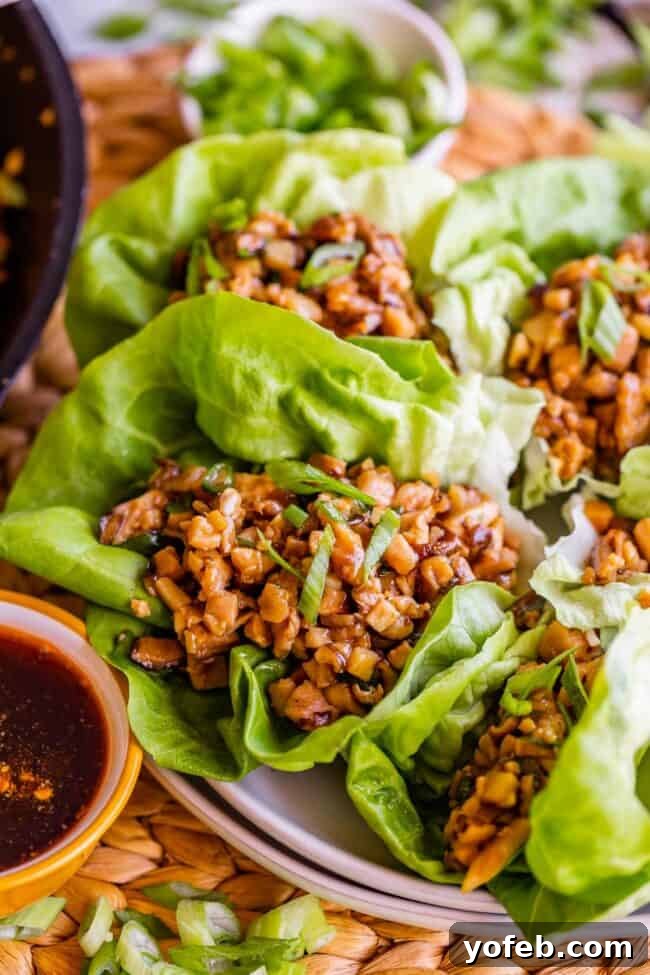 P.F. Chang's Style Lettuce Wraps at Home 2 Chicken lettuce wraps on plate, garnished with fried rice noodles.