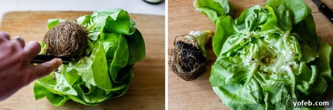 P.F. Chang's Style Lettuce Wraps at Home 16 Instructions on how to core butter lettuce for lettuce wraps.