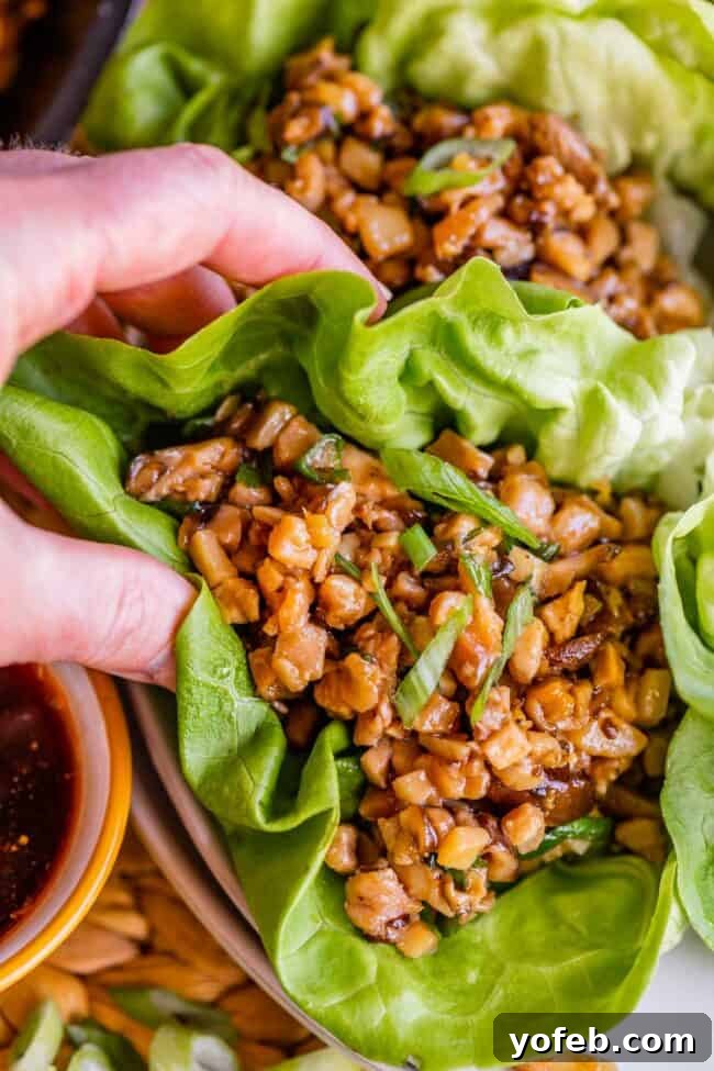 P.F. Chang's Style Lettuce Wraps at Home 18 P.F. Chang's lettuce wraps, arranged artfully on a plate.