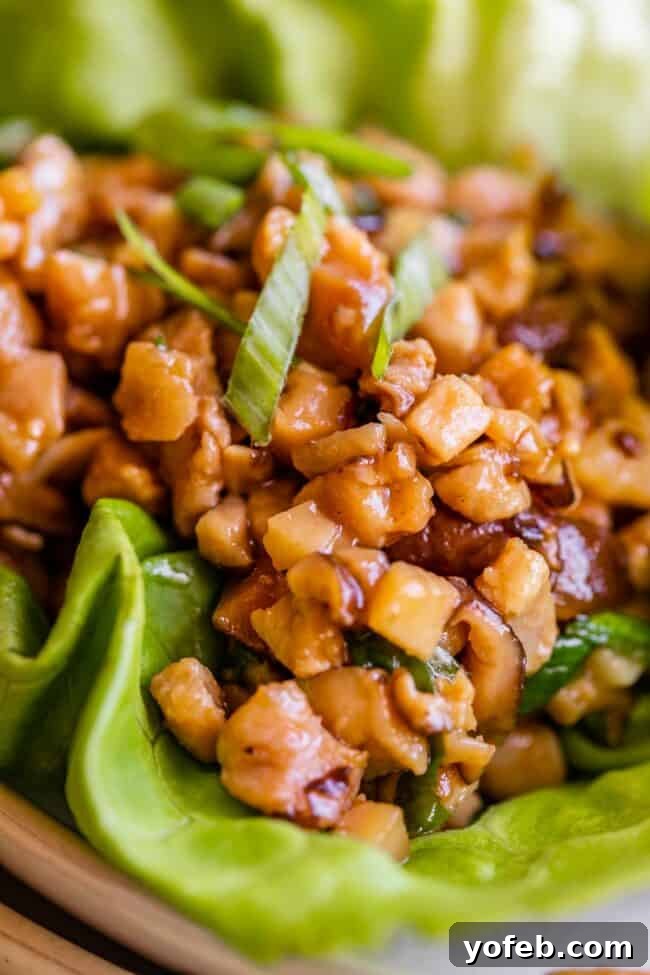 P.F. Chang's Style Lettuce Wraps at Home 5 P.F. Chang's chicken lettuce wraps, beautifully plated.