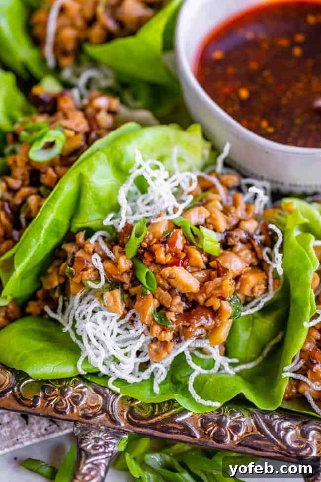 P.F. Chang's Style Lettuce Wraps at Home 7 Chicken lettuce wraps ready to be served, garnished with fried rice noodles.