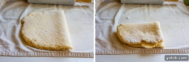 Rolled out dough folded in half, demonstrating a step in biscuit preparation.