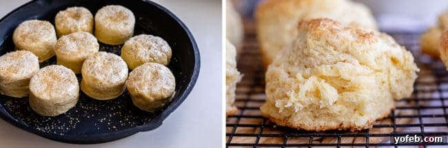 Uncooked biscuits arranged in a baking pan, alongside a golden-baked flaky biscuit on a cooling rack.