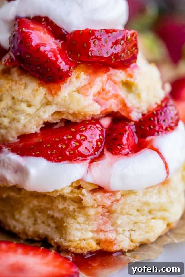 A beautiful classic strawberry shortcake with flaky biscuits, luscious whipped cream, and fresh berries.