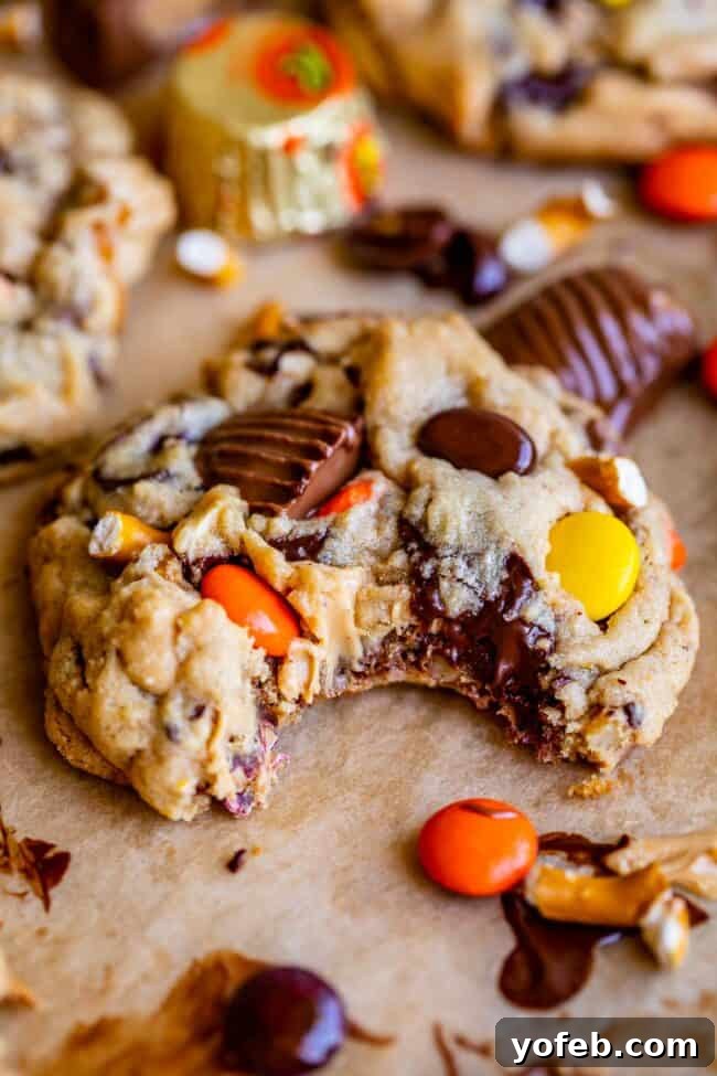 Loaded Reese's Peanut Butter Pretzel Cookies 15 Chocolate chip pretzel cookies adorned with Reese's Pieces, showcasing their rich texture and abundant mix-ins.