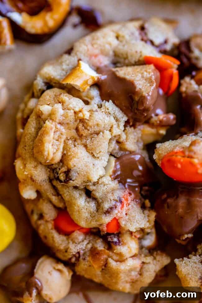 Loaded Reese's Peanut Butter Pretzel Cookies 16 A closer look at a Reese's Pieces cookie, featuring pretzels and visible chocolate chips, enticingly presented.