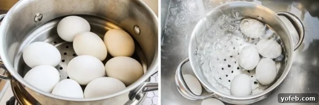 Fresh eggs steaming in a metal basket over boiling water, followed by a close-up of the steamed eggs being quickly plunged into an ice bath.