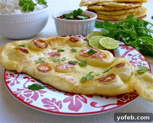 naan with cilantro and lime slices on a red and white plate.