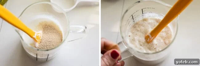 yeast mixed into warm milk and sour cream for naan bread.