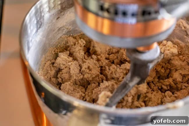 Dreamy White Chocolate Chip Treats 16 partially mixed cookie dough in a stand mixer