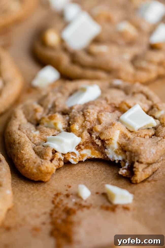 Dreamy White Chocolate Chip Treats 20 cinnamon and white chocolate cookies with a bite taken out