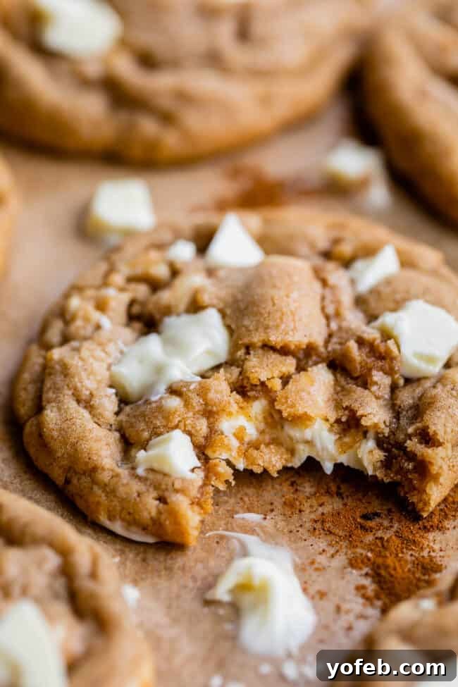 Dreamy White Chocolate Chip Treats 4 cinnamon white chocolate chip cookies with a bite taken