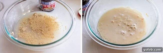 Foolproof Pizza Dough for Newbies 12 yeast and water in a bowl, then again foaming after 5 minutes.