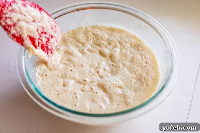 Foolproof Pizza Dough for Newbies 14 a sponge of yeast, water, and flour in a glass bowl.