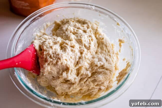 Foolproof Pizza Dough for Newbies 15 pizza dough before all the flour has been added in.